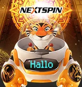 NS Slot