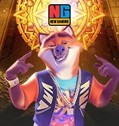 NG Slot